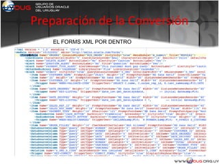 Preparación de la Conversión
EL FORMS XML POR DENTRO
 