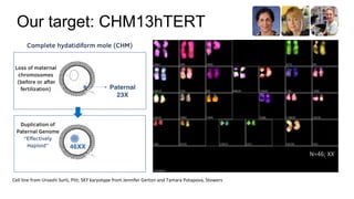 Telomere-to-telomere assembly of a complete human chromosomes | PPTX