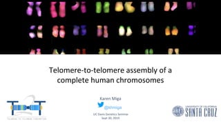 Telomere-to-telomere assembly of a
complete human chromosomes
Karen Miga
UC Davis Genetics Seminar
Sept 30, 2019
@khmiga
 