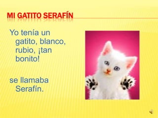 Mi Gatito Serafín Yo tenía un gatito, blanco, rubio, ¡tan bonito! se llamaba Serafín.       