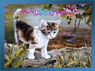 Mi gato-Rosario Flores 