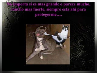 No importa si es mas grande o parece mucho, mucho mas fuerte, siempre esta ahí para protegerme….