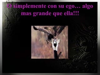 O simplemente con su ego… algo mas grande que ella!!!