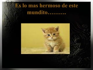 Es lo mashermoso de estemundito……….