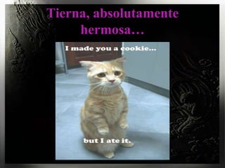 Tierna, absolutamente hermosa…