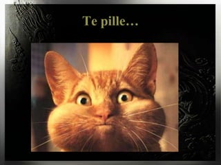 Te pille…