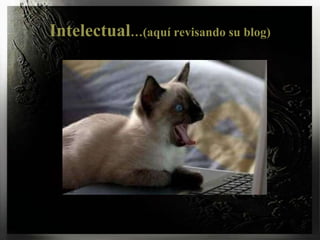 Intelectual…(aquí revisando su blog)