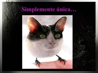Simplemente única…