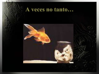A veces no tanto…