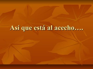 Así que está al acecho….
 