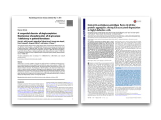 Endo-β-N-acetylglucosaminidase forms N-GlcNAc
protein aggregates during ER-associated degradation
in Ngly1-defective cells
Chengcheng Huanga,b
, Yoichiro Haradaa
, Akira Hosomia
, Yuki Masahara-Negishia
, Junichi Seinoa
, Haruhiko Fujihiraa
,
Yoko Funakoshia
, Takehiro Suzukic
, Naoshi Dohmaec
, and Tadashi Suzukia,b,1
a
Glycometabolome Team, Systems Glycobiology Research Group, RIKEN–Max Planck Joint Research Center for Systems Chemical Biology, RIKEN Global
Research Cluster, Wako, Saitama 351-0198, Japan; b
Graduate School of Science and Engineering, Saitama University, Saitama, Saitama 338-8570, Japan;
and c
Collaboration Promotion Unit, RIKEN Global Research Cluster, Wako, Saitama 351-0198, Japan
Edited by David W. Russell, University of Texas Southwestern Medical Center, Dallas, TX, and approved December 30, 2014 (received for review
August 1, 2014)
The cytoplasmic peptide:N-glycanase (PNGase; Ngly1 in mice) is
a deglycosylating enzyme involved in the endoplasmic reticulum
(ER)-associated degradation (ERAD) process. The precise role of
Ngly1 in the ERAD process, however, remains unclear in mammals.
The findings reported herein, using mouse embryonic fibroblast
(MEF) cells, that the ablation of Ngly1 causes dysregulation of the
ERAD process. Interestingly, not only delayed degradation but also
the deglycosylation of a misfolded glycoprotein was observed in
Ngly1−/−
MEF cells. The unconventional deglycosylation reaction
was found to be catalyzed by the cytosolic endo-β-N-acetylgluco-
saminidase (ENGase), generating aggregation-prone N-GlcNAc pro-
teins. The ERAD dysregulation in cells lacking Ngly1 was restored
by the additional knockout of ENGase gene. Thus, our study under-
scores the functional importance of Ngly1 in the ERAD process and
provides a potential mechanism underlying the phenotypic conse-
quences of a newly emerging genetic disorder caused by mutation
of the human NGLY1 gene.
PNGase (Ngly1) | ENGase | protein aggregates | glycoprotein | ERAD
Endoplasmic reticulum (ER)-associated degradation (ERAD)
constitutes one of the quality control mechanisms for newly
synthesized proteins in the ER. The ERAD process involves
a series of events, including aberrant domain recognition, ubiq-
uitination, translocation from the ER to the cytosol, and deg-
radation by proteasomes. Numerous lines of evidence point to
the existence of an ERAD system dedicated to N-linked glyco-
proteins; in this system, specific N-glycan structures dictate the
folding status of client glycoproteins (1, 2). Once glycoproteins in
the ER lumen are targeted for degradation, they are retro-
translocated into the cytosol, where the 26S proteasome plays
a central role in their degradation (3). During the degradation
process, N-glycans are removed by the action of the cytoplasmic
peptide:N-glycanase (PNGase) (4–6).
Activity of the cytoplasmic PNGase was first described in mam-
malian cells (7, 8), and the gene encoding cytoplasmic PNGase
(PNG1 in yeast; Ngly1/NGLY1 in mice/human) is widely dis-
tributed throughout eukaryotes (9). The functional importance
of cytoplasmic PNGase in the ERAD process is evident in yeast
(10–13). On the other hand, the suppression of Ngly1 gene ex-
pression by siRNA in mammalian cells resulted in a reduced
deglycosylation of T-cell receptor α subunit (TCRα) or MHC class
I heavy chain, whereas no significant delay in their degradation
was observed (14, 15). Moreover, Z-VAD-fmk, a pan-caspase in-
hibitor, was shown to inhibit cytoplasmic PNGase activity in vivo,
but it did not impede the degradation of MHC class I heavy chain
(16). Consequently, the functional importance of the cytoplasmic
PNGase remains elusive in mammalian cells.
PNGase-mediated deglycosylation generates free oligosaccharides
in the cytosol (17). Recent evidence suggests that a nonlysosomal
degradation pathway exists for these cytosolic free glycans (17).
This degradation process involves cytosolic endo-β-N-acetylglu-
cosaminidase (ENGase) (18, 19). Although the ENGase is believed
to be involved in the catabolism of cytosolic free oligosaccharides,
recent evidence shows that it can deglycosylate glycoproteins in vivo
to generate N-GlcNAc–bearing proteins in Arabidopsis thaliana
(20), raising the possibility that this enzyme may also act as a
deglycosylation enzyme for misfolded glycoproteins in the cytosol
(21, 22) (Fig. 1A).
Recently, patients harboring mutations on the NGLY1 gene, an
ortholog of the cytoplasmic PNGase in mammalian cells (23), have
been described (24, 25). Although this observation emphasizes the
functional importance of this protein in mammalian cells, mecha-
nistic insight into the phenotypic consequences of these patients
remains unclarified. In this study, we established an ERAD model
substrate, RTAΔm, and demonstrated that the delay in its degra-
dation was evident in Ngly1−/−
mouse embryonic fibroblast (MEF)
cells. Interestingly, the delay was canceled by additional gene
knockout of ENGase. The degradation of RTAΔm in double-
knockout cells remains proteasome-dependent, clearly indicating
that the presence of an N-glycan on RTAΔm did not affect the
efficiency of proteasomal degradation. Moreover, the occurrence
of N-GlcNAc–modified RTAΔm in Ngly1−/−
MEF cells was iden-
tified by MS analysis, demonstrating that the ENGase-mediated
Significance
In the endoplasmic reticulum (ER), N-glycans on glycoproteins
play important roles in dictating the folding status of proteins
by a sophisticated N-glycan–dependent protein quality control
machinery. In this study we identified the dysregulation of ER-
associated degradation (ERAD) in cells that were defective in
the cytosolic deglycosylating enzyme, Ngly1. ERAD dysregula-
tion was caused by an unexpected deglycosylating activity of
endo-β-N-acetylglucosaminidase, another cytosolic deglycosy-
lation enzyme, and this action resulted in the intracellular
formation of protein aggregates. Our results clearly point to
the critical role of N-glycans even in cytosolic events of the
ERAD process by controlling the conformation/solubility of
proteins. This study may also provide a potential mechanism
for explaining the pathology of a human genetic disorder
caused by mutations in the NGLY1 gene.
Author contributions: C.H. and Tadashi Suzuki designed research; C.H., Y.H., A.H., Y.M.-N.,
J.S., H.F., Y.F., Takehiro Suzuki, and N.D. performed research; Y.H., A.H., Y.M.-N., and Y.F.
contributed new reagents/analytic tools; C.H., Y.H., A.H., J.S., H.F., Y.F., Takehiro Suzuki,
N.D., and Tadashi Suzuki analyzed data; and C.H. and Tadashi Suzuki wrote the paper.
The authors declare no conflict of interest.
This article is a PNAS Direct Submission.
1
To whom correspondence should be addressed. Email: tsuzuki_gm@riken.jp.
This article contains supporting information online at www.pnas.org/lookup/suppl/doi:10.
1073/pnas.1414593112/-/DCSupplemental.
1398–1403 | PNAS | February 3, 2015 | vol. 112 | no. 5 www.pnas.org/cgi/doi/10.1073/pnas.1414593112
 