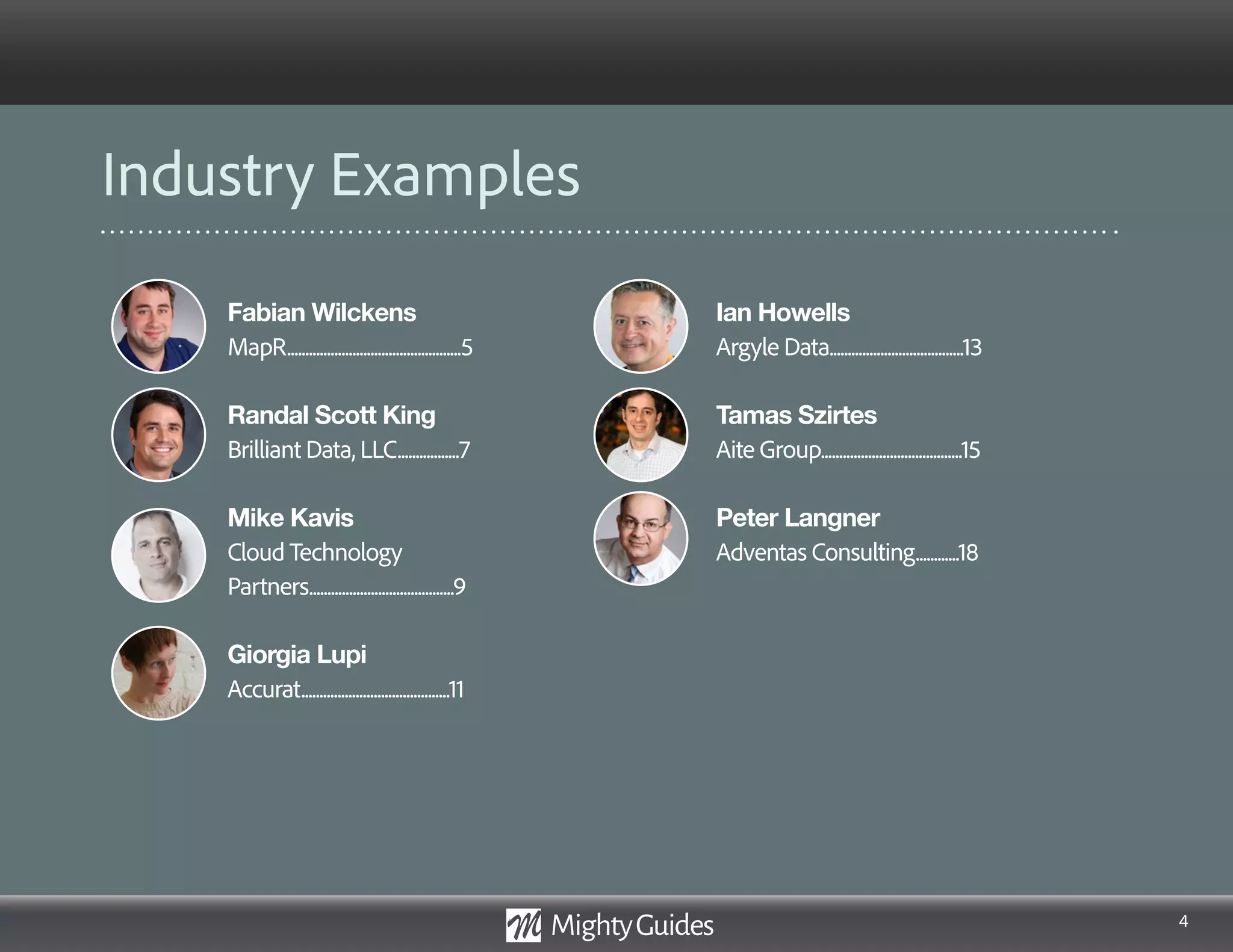 4
Fabian Wilckens
MapR................................................5
Randal Scott King
Brilliant Data, LLC.................7
Mike Kavis
Cloud Technology
Partners........................................9
Giorgia Lupi
Accurat.........................................11
Ian Howells
Argyle Data.....................................13
Tamas Szirtes
SOA People Nederland.......15
Peter Langner
Adventas Consulting............18
Industry Examples
 