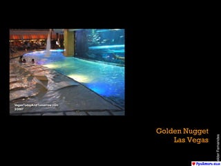 Golden Nugget Las Vegas Helder Fernandes 