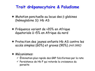 Trait drépanocytaire & Paludisme

Mutation ponctuelle au locus des β globines
(hémoglobine S): Hb AS

Fréquence variant de >20% en Afrique
équatoriale à <5% en Afrique du nord

Protection des jeunes enfants Hb AS contre les
accès simples (60%) et graves (90%) (Hill 1992)

Mécanismes:
   Élimination plus rapide des GRP falciformes par la rate
   Persistance de Hb F qui retarde la croissance du
   parasite
 
