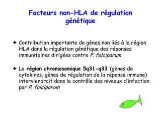 Facteurs non-HLA de régulation
               génétique


Contribution importante de gènes non liés à la région
HLA dans la régulation génétique des réponses
immunitaires dirigées contre P. falciparum

La région chromosomique 5q31-q33 (gènes de
cytokines, gènes de régulation de la réponse immune)
interviendrait dans le contrôle des niveaux d’infection
par P. falciparum
 