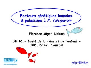 Facteurs génétiques humains
    & paludisme à P. falciparum


         Florence Migot-Nabias

UR 10 « Santé de la mère et de l’enfant »
         IRD, Dakar, Sénégal




                                   migot@ird.sn
 