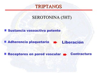 SEROTONINA (5HT) Sustancia vasoactiva potente Adherencia plaquetaria  Receptores en pared vascular Liberación Contractura   TRIPTANOS 
