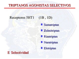 TRIPTANOS AGONISTAS SELECTIVOS Receptores 5HT1  (1B , 1D) Sumatriptan Zolmitriptan Rizatriptan Naratriptan Eletriptan   Selectividad 