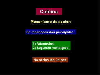 Mecanismo de acción Se reconocen dos principales: No serían los únicos. 1) Adenosina. 2) Segundo mensajero. Cafeína 