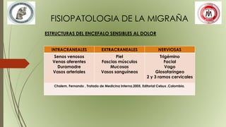 FISIOPATOLOGIA DE LA MIGRAÑA
ESTRUCTURAS DEL ENCEFALO SENSIBLES AL DOLOR
INTRACRANEALES EXTRACRANEALES NERVIOSAS
Senos venosos
Venas aferentes
Duramadre
Vasos arteriales
Piel
Fascias músculos
Mucosas
Vasos sanguíneos
Trigémino
Facial
Vago
Glosofaríngeo
2 y 3 ramos cervicales
Chalem, Fernando , Tratado de Medicina Interna,2005, Editorial Celsus ,Colombia.
 