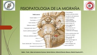 FISIOPATOLOGIA DE LA MIGRAÑA
Netter , Frank , Atlas de Anatomia Humana, Quinta Edicion, Editorial Elsevier Masson, Madrid España,2011.
 