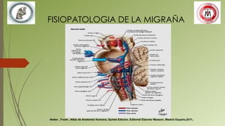 FISIOPATOLOGIA DE LA MIGRAÑA
Netter , Frank , Atlas de Anatomia Humana, Quinta Edicion, Editorial Elsevier Masson, Madrid España,2011.
 