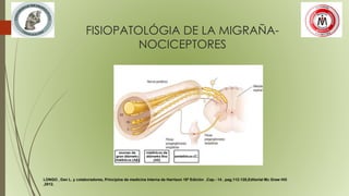 FISIOPATOLÓGIA DE LA MIGRAÑA-
NOCICEPTORES
axones de
gran diámetro
mielínicos (Aβ)
mielínicos de
diámetro fino
(Aδ)
amielínicos (C.
LONGO , Dan L. y colaboradores, Principios de medicina interna de Harrison 18ª Edición ,Cap.- 14 , pag.112-128,Editorial Mc Graw Hill
,2012.
 
