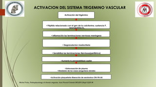 ACTIVACION DEL SISTEMA TRIGEMINO VASCULAR
Activación del trigémino
•Péptido relacionado con el gen de la calcitonina, sustancia P,
neuroquinina A,.
•Inflamación las terminaciones nerviosas meníngeas
•Degranulacion mastocitaria
•Sensibiliza las terminaciones Nerviosas(periférica)
•Aumenta la permeabilidad capilar
•Extravasación de plasma
•Alrededor de los vasos sanguíneos dúrales
•Activación plaquetaria-liberación de serotonina-ON-FN-kB
Michel Volcy. Pathophysiology of chronic migraine. Acta Neurol Colomb 2013;29:1 (Supl 1:1)25-30
 