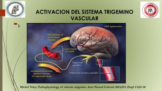 ACTIVACION DEL SISTEMA TRIGEMINO
VASCULAR
).
Michel Volcy. Pathophysiology of chronic migraine. Acta Neurol Colomb 2013;29:1 (Supl 1:1)25-30
 