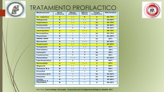 TRATAMIENTO PROFILACTICO
Uribe Uribe, Carlos Santiago ,Neurología , Corporación para Investigaciones Biológicas, Medellín, 2012.
Medicamento Nivel
evidencia
Efecto
científico
Efecto
clínico
Grupo
terapéutico
Efectividad
Ac. valpróico A + + 0 2 50-75%
Gabapentin B + + + + 2 46-60%
Topiramato A + + + + 3a 40-70%
Zonizamida C + + 3a 40-60%
Levetiracetam C ? ? 3a 36-52%
Amitriptilina A + + + + + + 1 50-75%
Nortriptilina C > + + + 3a 50-75%
Fluoxetina B + + 2 50-69%
ISRSS/INRS C ? + 3a 50%
Metoprolol B + + + + + 2 60-80%
Propranolol A + + + + + 1 60-80%
Verapamilo B + + + 2 50%
Nimodipina B + + 2 50%
Lisinopril C ? ? 3a 30%
Candesartan C ? ? 3a 46%
Flunarizina B + + + ? 4 53-82%
Ciproheptadina C ? + 3a 50%
Metisergida A + + + + + + 4 50%
Magnesio B + + + 2 60%
Vitamina B 2 B + + + + 2 59%
Feverfew B + + + 2 37%
Coenzima Q10 C + + 3a 40-60%
Petasites C + + 3a 40-50%
Toxina
botulínica A
B + + 3a 45-80%
Tizanidina B + + 3 50-65%
 