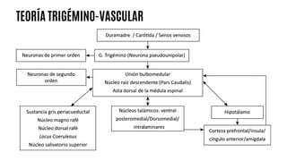 TEORÍA TRIGÉMINO-VASCULAR
 