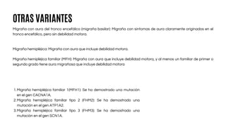 Migraña con aura del tronco encefálico (migraña basilar): Migraña con síntomas de aura claramente originados en el
tronco encefálico, pero sin debilidad motora.
OTRAS VARIANTES
Migraña hemipléjica: Migraña con aura que incluye debilidad motora.
Migraña hemipléjica familiar (MFH): Migraña con aura que incluye debilidad motora, y al menos un familiar de primer o
segundo grado tiene aura migrañosa que incluye debilidad motora
1.Migraña hemipléjica familiar 1(MFH1): Se ha demostrado una mutación
en el gen CACNA1A.
2.Migraña hemipléjica familiar tipo 2 (FHM2): Se ha demostrado una
mutación en el gen ATP1A2.
3.Migraña hemipléjica familiar tipo 3 (FHM3): Se ha demostrado una
mutación en el gen SCN1A.
 
