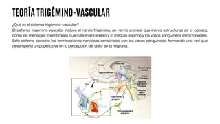 TEORÍA TRIGÉMINO-VASCULAR
¿Qué es el sistema trigémino-vascular?
El sistema trigémino-vascular incluye el nervio trigémino, un nervio craneal que inerva estructuras de la cabeza,
como las meninges (membranas que cubren el cerebro y la médula espinal) y los vasos sanguíneos intracraneales.
Este sistema conecta las terminaciones nerviosas sensoriales con los vasos sanguíneos, formando una red que
desempeña un papel clave en la percepción del dolor en la migraña.
 