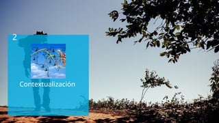 2
Contextualización
 