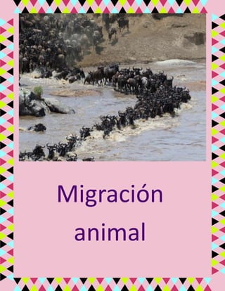 Migración
animal
 