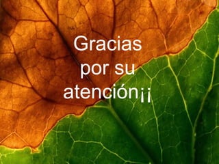 Gracias por su atención¡¡