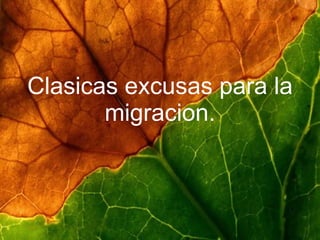 Clasicas excusas para la migracion.