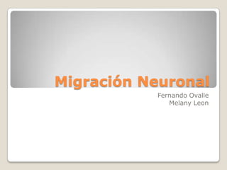 Migración Neuronal
Fernando Ovalle
Melany Leon

 