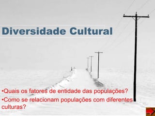 Diversidade Cultural
•Quais os fatores de entidade das populações?
•Como se relacionam populações com diferentes
culturas?
 