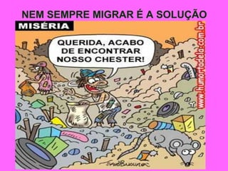 NEM SEMPRE MIGRAR É A SOLUÇÃO
 