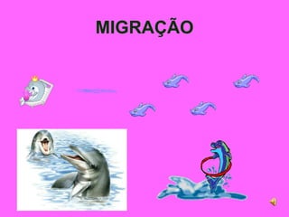 MIGRAÇÃO
 