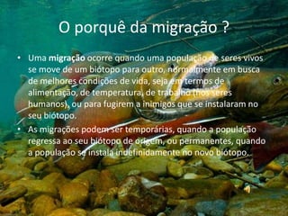 O porquê da migração ?Uma migração ocorre quando uma população de seres vivos se move de um biótopo para outro, normalmente em busca de melhores condições de vida, seja em termos de alimentação, de temperatura, de trabalho (nos seres humanos), ou para fugirem a inimigos que se instalaram no seu biótopo.As migrações podem ser temporárias, quando a população regressa ao seu biótopo de origem, ou permanentes, quando a população se instala indefinidamente no novo biótopo.