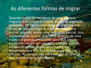 As diferentes formas de migrar    Quando todos os membros de uma espécie migram, o processo é conhecido como migração completa. Se alguns membros de uma espécie ficam no mesmo lugar o ano todo enquanto outros migram, existe uma migração parcial. Isso normalmente ocorre quando o alcance de uma espécie é grande o bastante para que alguns espécimes vivam em um lugar sempre quente, enquanto outros vivam em uma região temperada que fica fria demais para eles no inverno. As corujas são um exemplo de animal que realiza migrações parciais