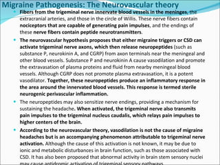 Migraine Pathogenesis: The Neurovascular theory Fibers from the trigeminal nerve innervate blood vessels in the meninges , the extracranial arteries, and those in the circle of Willis. These nerve fibers contain  nociceptors that are capable of generating pain impulses , and the endings of these  nerve fibers contain peptide neurotransmitters . The neurovascular hypothesis proposes that either migraine triggers or CSD can activate trigeminal nerve axons, which then release neuropeptides  (such as substance P, neurokinin A, and CGRP) from axon terminals near the meningeal and other blood vessels. Substance P and neurokinin A cause vasodilation and promote the extravasation of plasma proteins and fluid from nearby meningeal blood vessels. Although CGRP does not promote plasma extravasation, it is a potent vasodilator.  Together, these neuropeptides produce an inflammatory response in the area around the innervated blood vessels. This response is termed sterile neurogenic perivascular inflammation. The neuropeptides may also sensitize nerve endings, providing a mechanism for sustaining the headache . When activated, the trigeminal nerve also transmits pain impulses to the trigeminal nucleus caudalis, which relays pain impulses to higher centers of the brain. According to the neurovascular theory, vasodilation is not the cause of migraine headaches but is an accompanying phenomenon attributable to trigeminal nerve activation.  Although the cause of this activation is not known, it may be due to ionic and metabolic disturbances in brain function, such as those associated with CSD. It has also been proposed that abnormal activity in brain stem sensory nuclei may cause antidromic activation of trigeminal sensory pathways. 