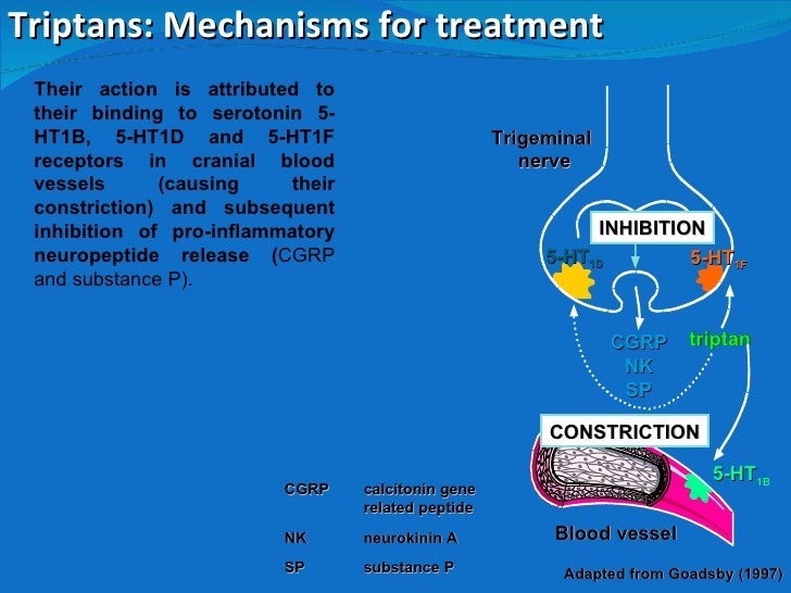 Headaches Lecture Headaches Lecture