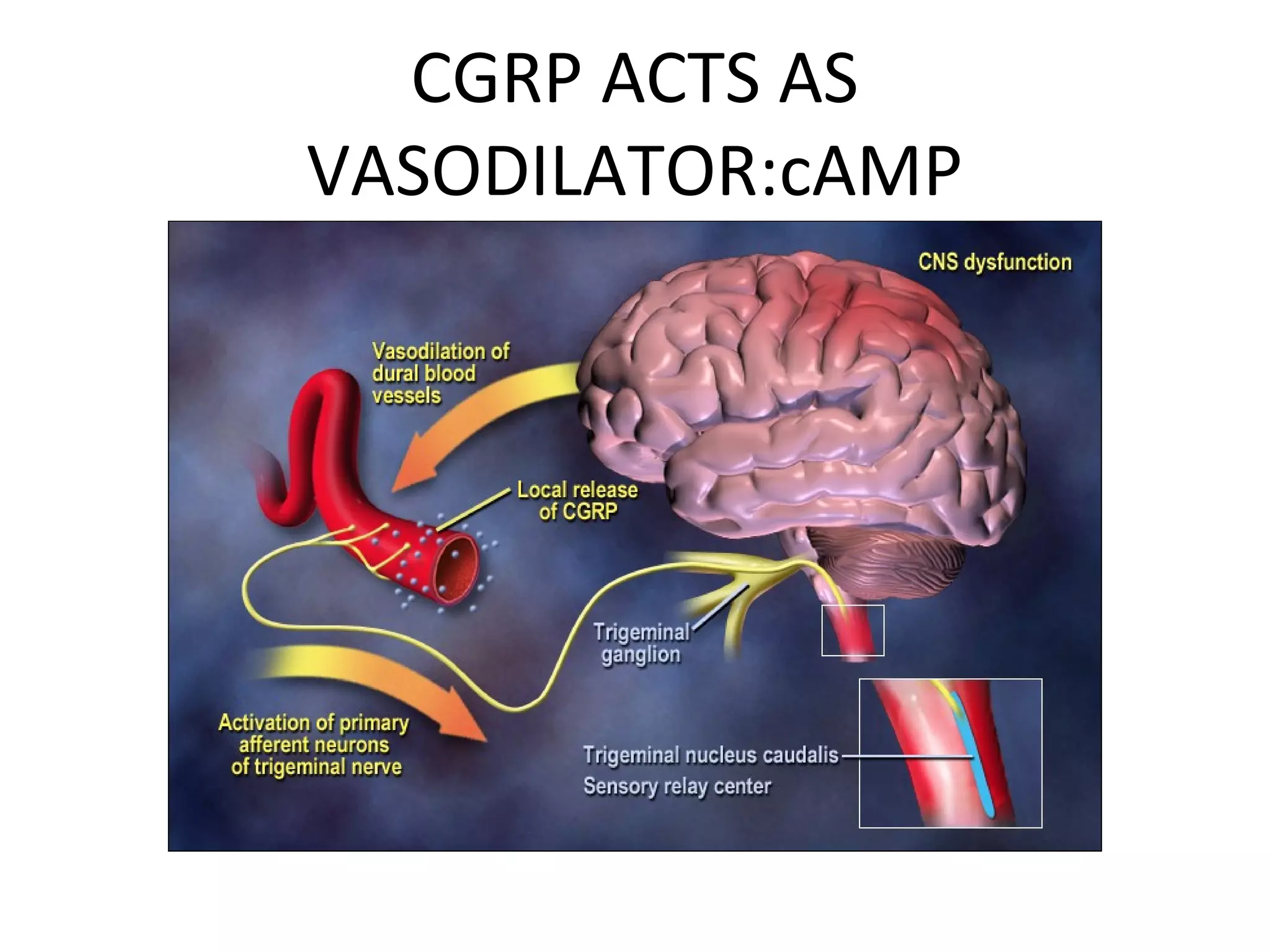 Pharmacological management of migraine | PPT