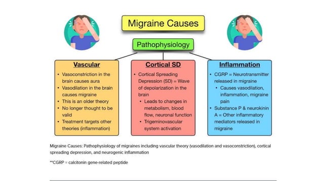 MIGRAINE OVERVIEW FOR NEUROLOGIST AND GENERAL PRACTIONER | PPTX | Brain ...