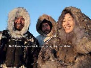 INUIT-Duermen en camas de hielo y llevan ropas muy abrigas

 