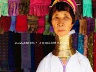 LAS MUJERES JIRAFA- Le ponen anillas en el cuello

 