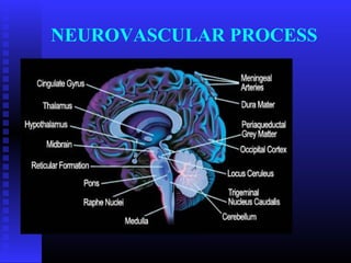 NEUROVASCULAR PROCESS
 
